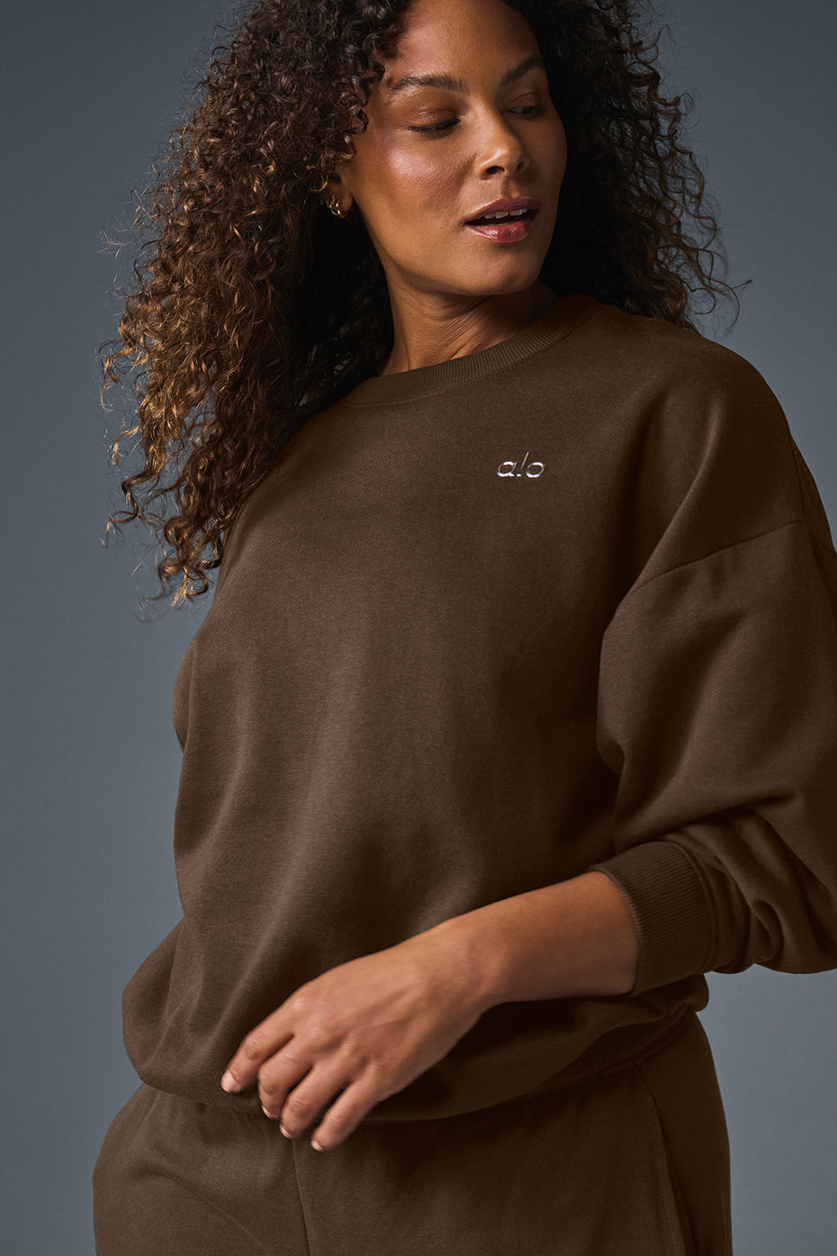 Accolade crewneck sweatshirt
